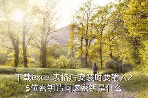 下載excel表格后安裝時要輸入25位密鑰請問這密鑰是什么
