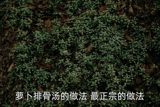 蘿卜燉排骨湯，蘿卜排骨湯的做法 最正宗的做法