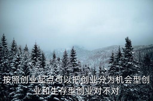 按照創業起點可以把創業分為機會型創業和生存型創業對不對
