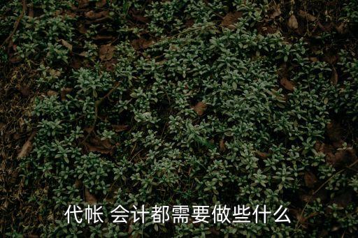 代賬會計,代理記賬需要做什么?