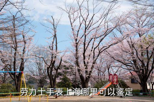 勞力士手表上海哪里可以鑒定