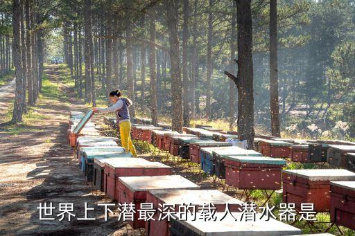 載人潛水器，蛟龍號載人潛水器