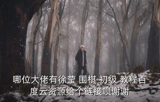 哪位大佬有徐瑩 圍棋 初級 教程百度云資源給個鏈接唄謝謝
