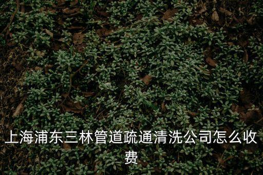 上海浦東三林管道疏通清洗公司怎么收費