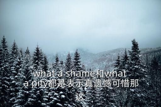 真遺憾的英文，真遺憾用英語怎么說