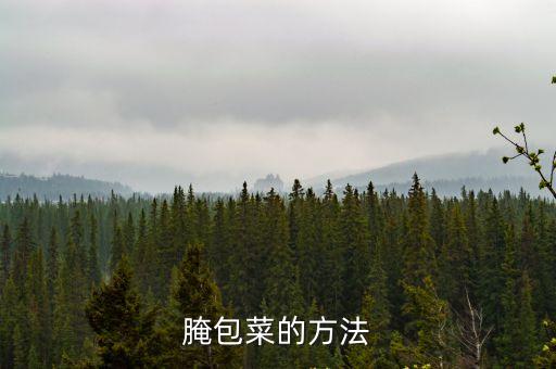 腌包菜的方法