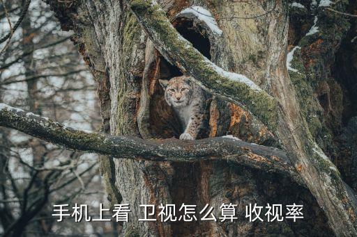 衛視收視率,收視率怎么算?看這里!