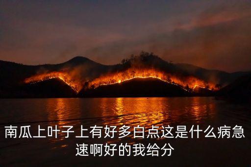 南瓜白粉病，南瓜有白粉病能吃嗎求求急現在要煮了