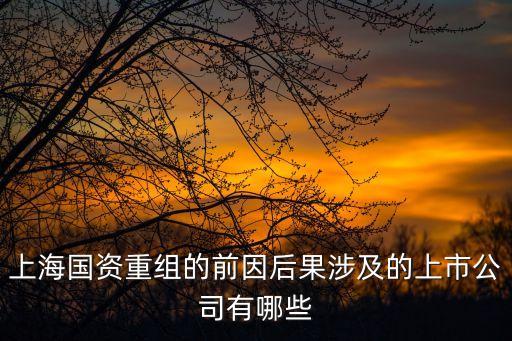 電科集團(tuán)和上海市政府戰(zhàn)略合作，滬電股份是哪里的企業(yè)現(xiàn)在可以介入嗎