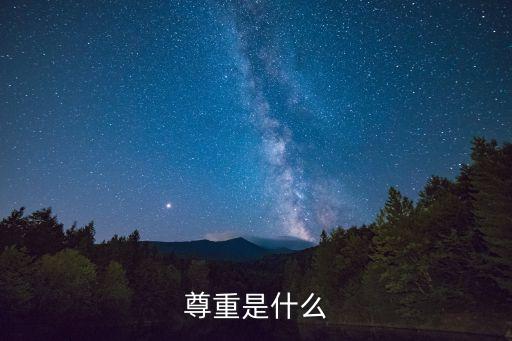 尊重是什么