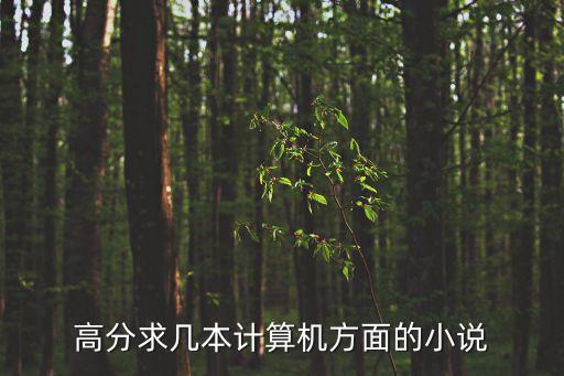 高分求幾本計算機方面的小說
