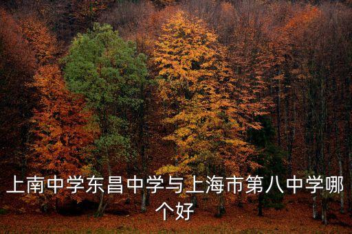 上南中學(xué)東昌中學(xué)與上海市第八中學(xué)哪個好