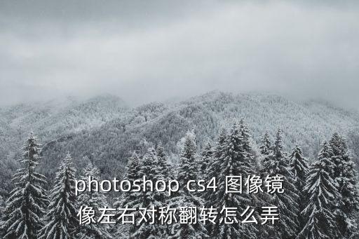 photoshop cs4 圖像鏡像左右對稱翻轉(zhuǎn)怎么弄