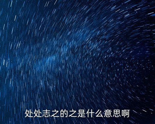 處處志之的之是什么意思啊