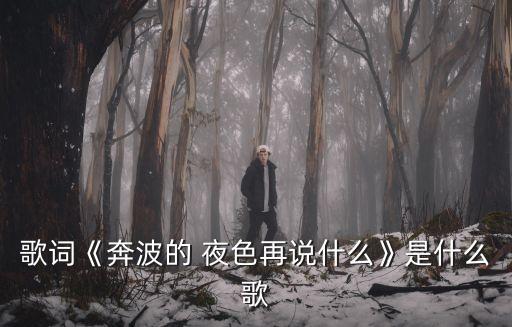 歌詞《奔波的 夜色再說(shuō)什么》是什么歌