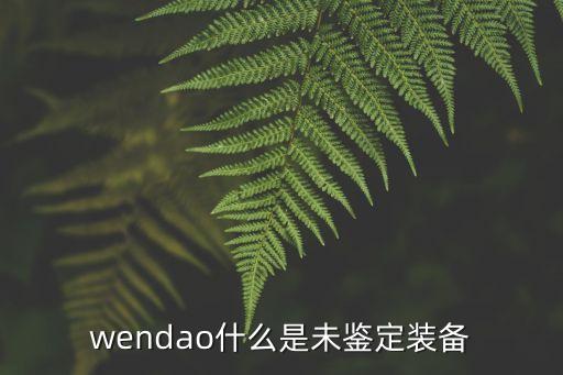 wendao，wendao 怎么玩