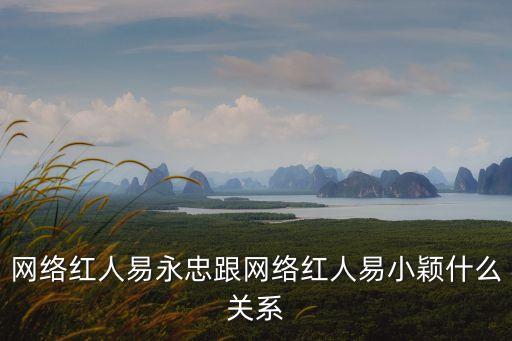 第一推手，第一推是什么軟件