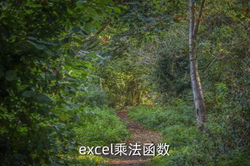 表格乘法函數，excel乘法函數