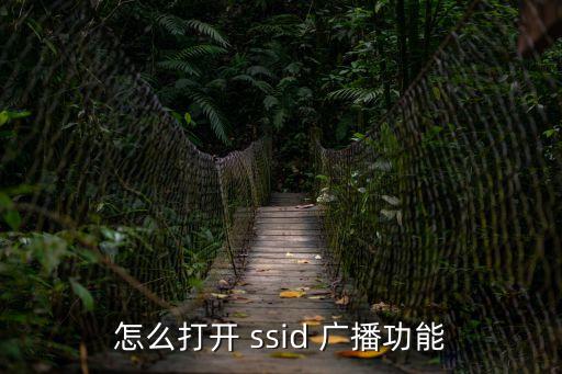 怎么打開 ssid 廣播功能