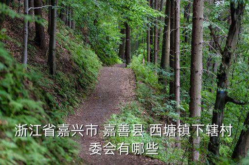 嘉善西塘,嘉善西塘車管所位于嘉善縣城北部