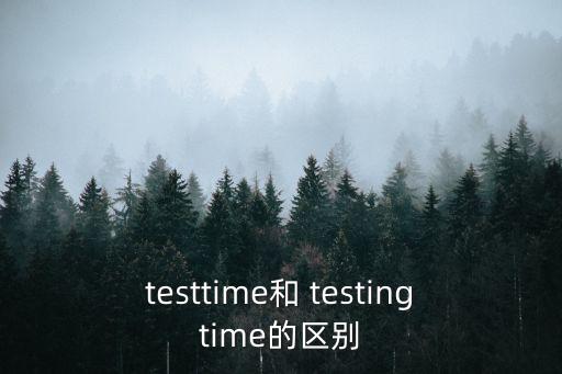 testtime和 testingtime的區別