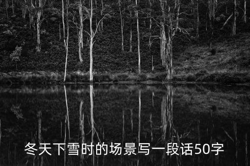 冬天下雪時的場景寫一段話50字