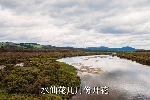 水仙花幾月份開花，水仙開花時(shí)間大概是幾月份