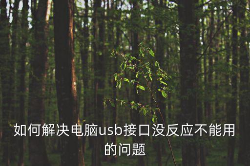 如何解決電腦usb接口沒反應不能用的問題