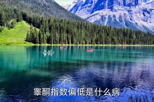 睪酮低是什么原因，睪酮指數(shù)偏低是什么病