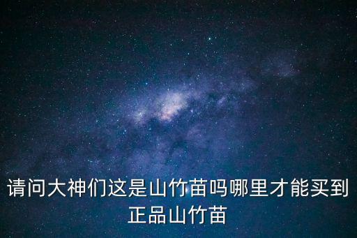 請(qǐng)問(wèn)大神們這是山竹苗嗎哪里才能買到正品山竹苗
