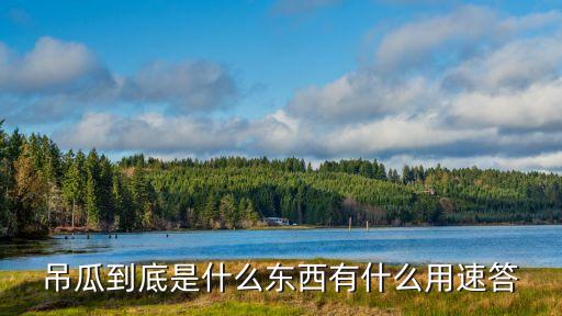 吊瓜到底是什么東西有什么用速答