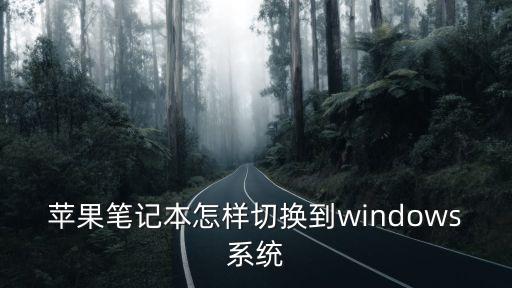 蘋果筆記本怎樣切換到windows系統