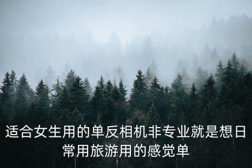 適合女生用的單反相機非專業(yè)就是想日常用旅游用的感覺單