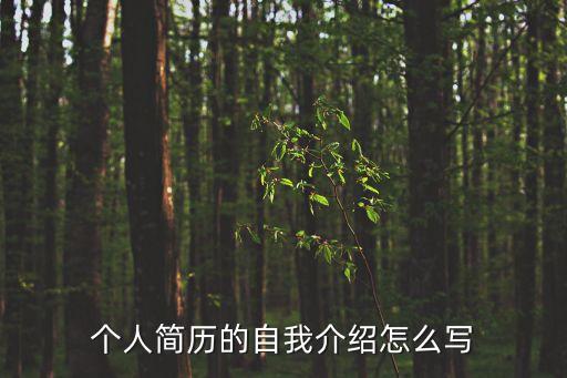 個人簡歷的自我介紹怎么寫