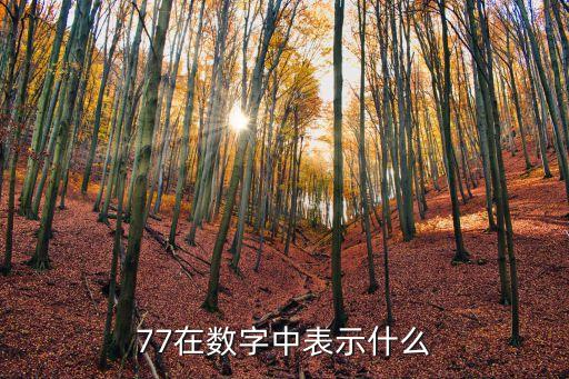 77什么意思，77在數字中表示什么