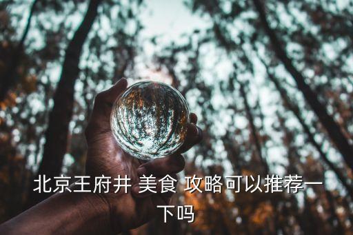 北京美食攻略,南鑼鼓巷十大美食之一烤鴨排第一