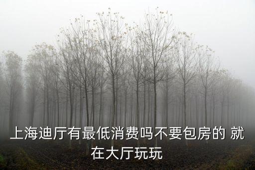 上海迪廳有最低消費嗎不要包房的 就在大廳玩玩