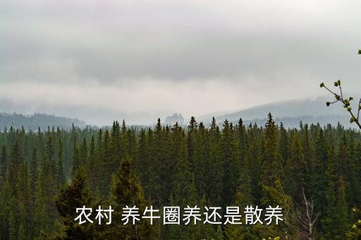 農村 養牛圈養還是散養
