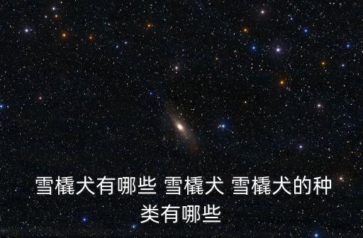  雪橇犬有哪些 雪橇犬 雪橇犬的種類有哪些