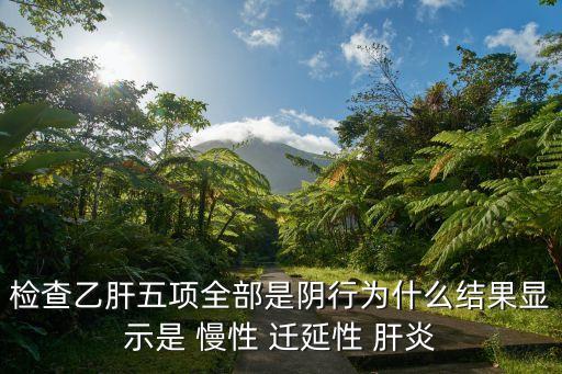 慢性遷延性肝炎,病毒性肝炎第五項檢查是否有乙肝感染