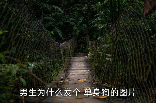 男生為什么發(fā)個(gè) 單身狗的圖片