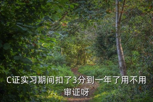 C證實習期間扣了3分到一年了用不用審證呀