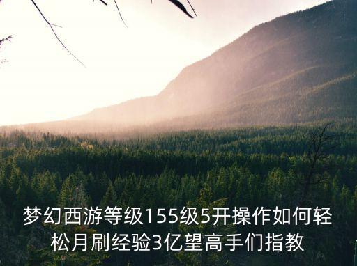 夢幻西游等級155級5開操作如何輕松月刷經驗3億望高手們指教
