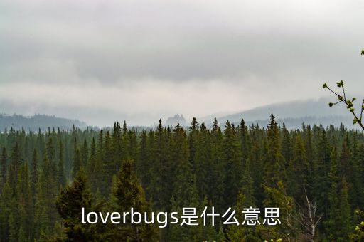 loverbugs是什么意思