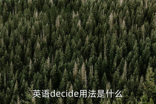 decide用法，decide 的用法