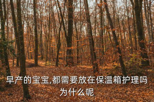 孵化器嬰兒,早產(chǎn)兒發(fā)育不成熟需在保溫箱維持正常體溫