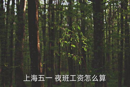 上海五一 夜班工資怎么算