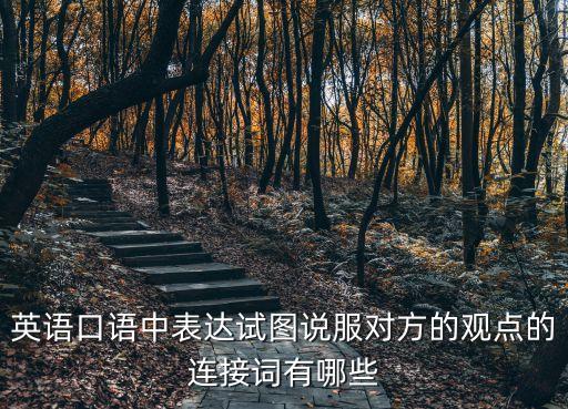 英語(yǔ)口語(yǔ)中表達(dá)試圖說(shuō)服對(duì)方的觀點(diǎn)的連接詞有哪些