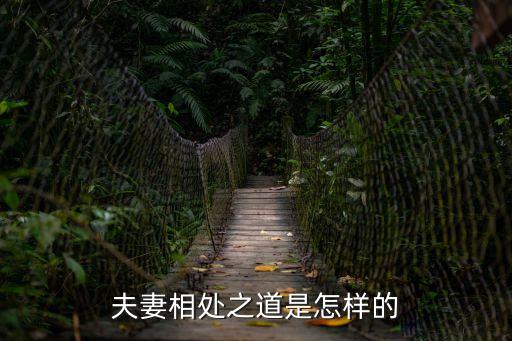 夫妻相處之道，夫妻之間相處之道