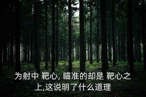 瞄準靶心,射擊點全部分布在靶心右下方可調風偏調節旋鈕